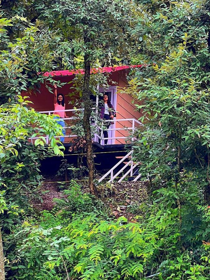 Aaroham Resort Shimla ! Luxury Cottage By Aamod Group ภายนอก รูปภาพ